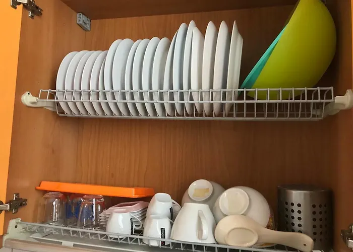 Sedicibis بولونيا