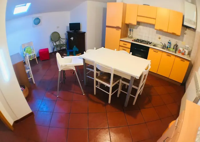 Sedicibis * 볼로냐