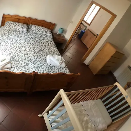 Sedicibis * بولونيا